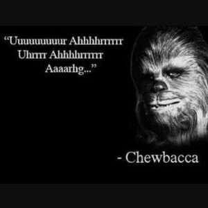 Chewbacca Quote. Wow, that's really profound, man.